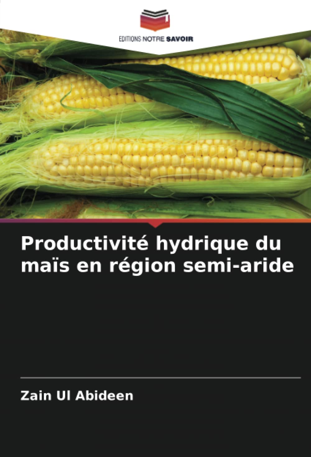 Bild von Abideen, Zain Ul: Productivité hydrique du maïs en région semi-aride