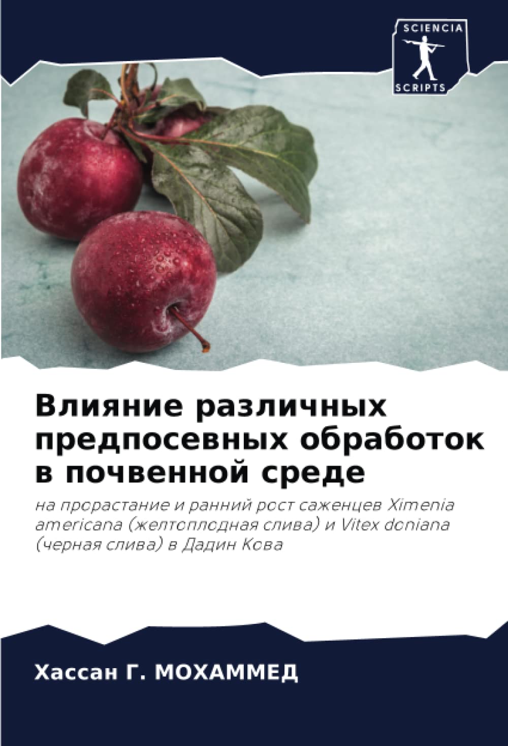 Bild von Влияние различных предпосевных обработок в почвенной среде: на прорастание и ранний рост саженцев Ximenia americana (желтоплодная слива) и Vitex ... i Vitex doniana (chernaq sliwa) w Dadin Kowa
