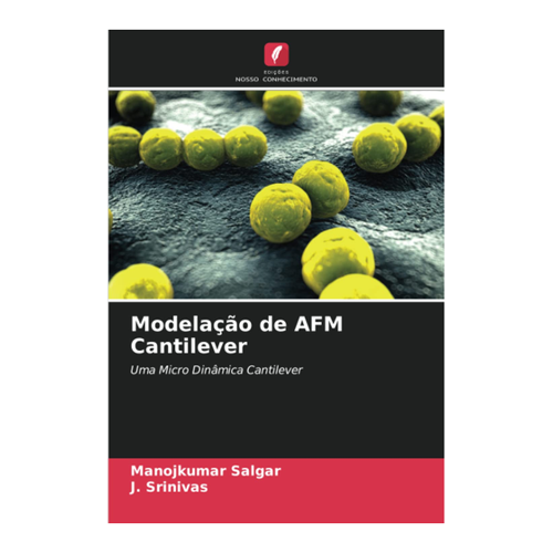 Bild von Modelação de AFM Cantilever: Eine vertiefte Analyse