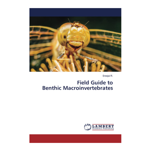 Bild von Field Guide to Benthic Macroinvertebrates