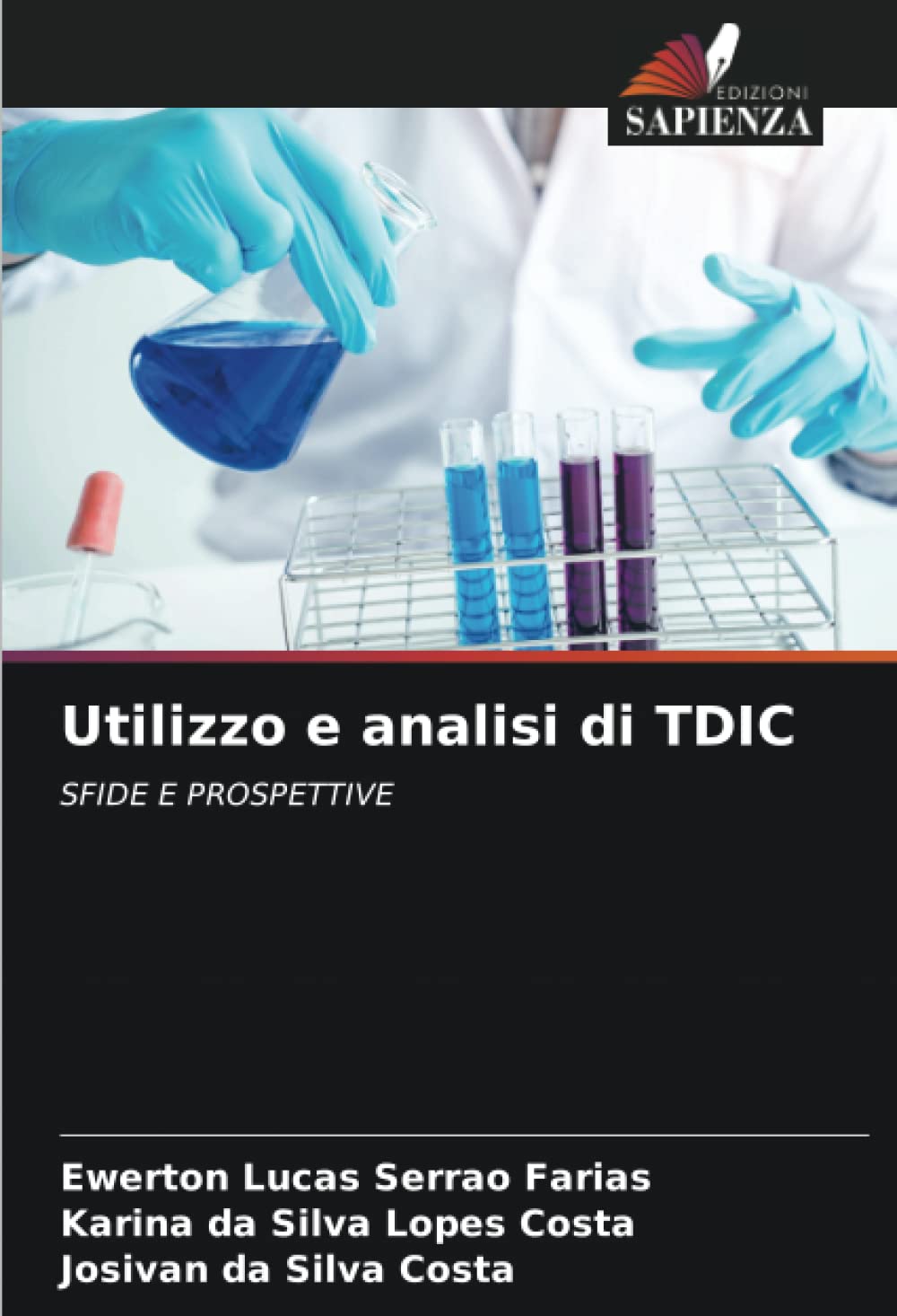 Bild von Utilizzo e analisi di TDIC: SFIDE E PROSPETTIVE