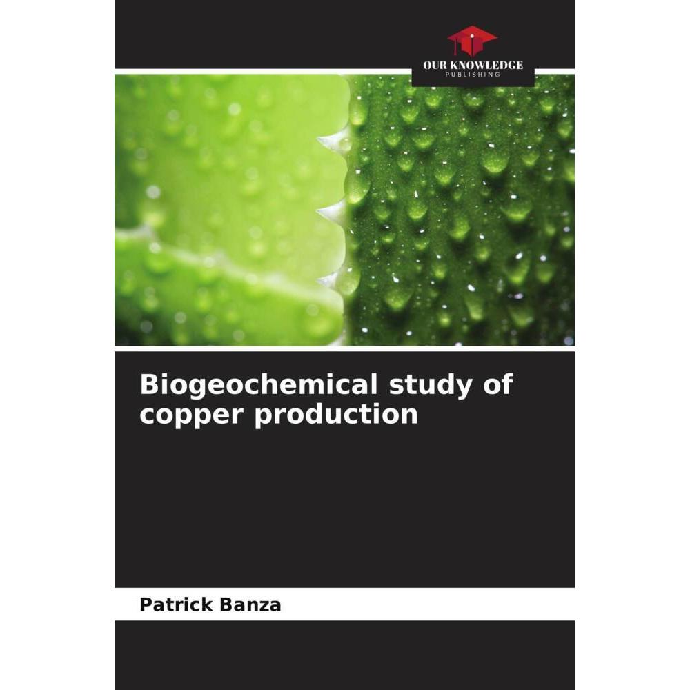 Bild von Banza, Patrick: Biogeochemical study of copper production
