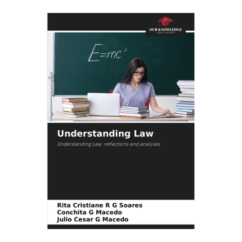 Bild von Understanding Law: Ein umfassender Blick auf rechtliche Konzepte