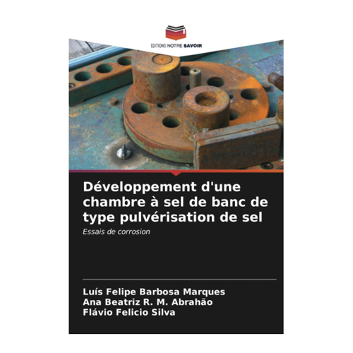 Bild von Développement d'une chambre à sel de banc de type pulvérisation de sel