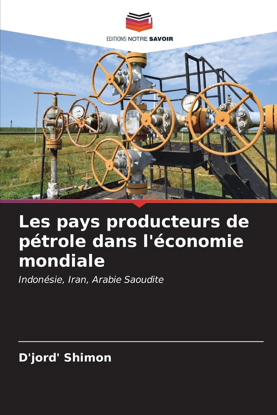 Bild von Les pays producteurs de pétrole dans l'économie mondiale: Indonésie, Iran, Arabie Saoudite