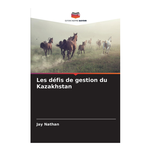 Bild von Les défis de gestion du Kazakhstan: Einblicke in die Wirtschaft und Unternehmensführung
