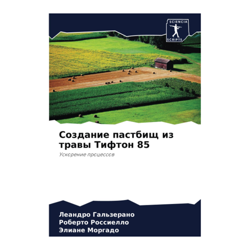 Bild von Создание пастбищ из травы Тифтон 85 - Ein umfassender Leitfaden