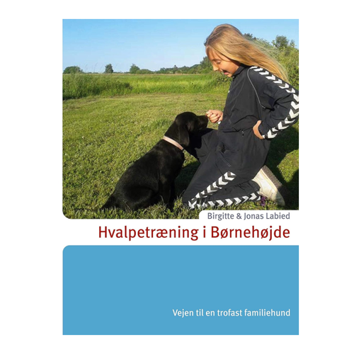 Bild von Hvalpetræning i Børnehøjde, Hvalpetræning i Børnehøjde: Vejen til en trofast familiehund