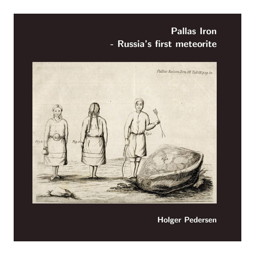 Bild von Pallas Iron: Russia's first meteorite