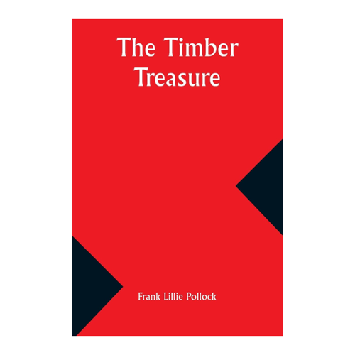 Bild von Der Timber Treasure von Frank Lillie Pollock - Ein spannendes Abenteuer