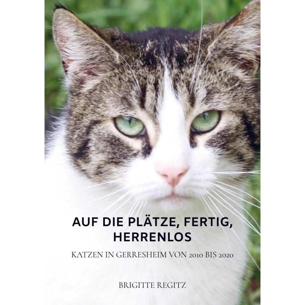 Bild von Auf die Plätze, fertig, herrenlos: Katzen in Gerresheim von 2010 bis 2020