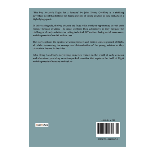 Bild von The Boy Aviator's Flight for a Fortune