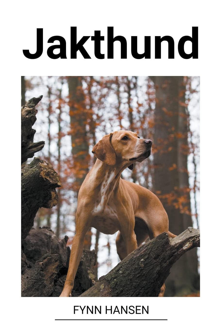 Bild von Jakthund