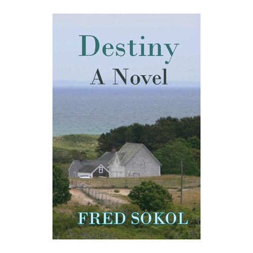 Bild von Destiny: A Novel von Fred J. Sokol