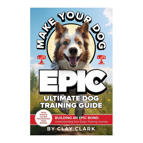 Bild von Make Your Dog Epic: Building an Epic Bond