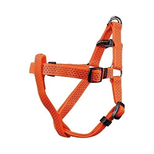 Bild von Neon & Reflex Hunde-Geschirr