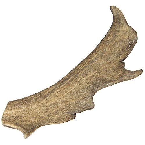 Bild von Damhirsch-Geweihsnack [1 Stück / XL = 125-160 g]