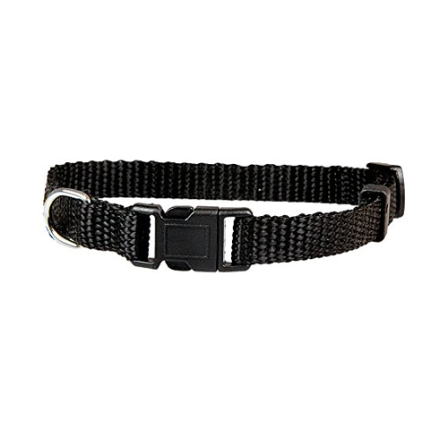 Bild von Welpen-Halsbänder: Für einen Halsumfang von 20 - 30 cm, 10 mm breit [Schwarz]