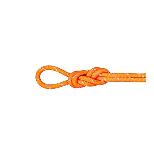 Bild von Mammut 9.5 Alpine Dry Rope Einfachseil (Orange 40 Länge in m) Schlingen