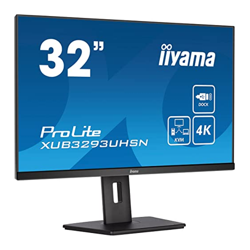 Bild von iiyama ProLite XUB3293UHSN-B5 32 Zoll