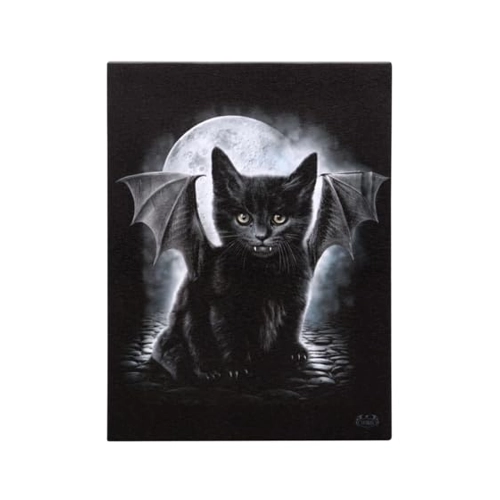 Bild von Bat Kitty Bild auf Leinwand 19 x 25 cm  Wanddeko