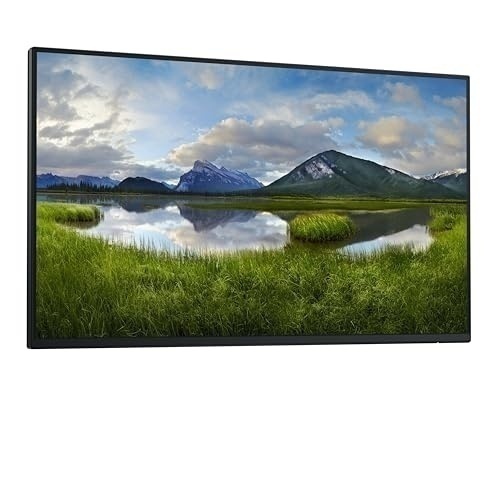 Bild von Dell P2425HE Monitor 24 Zoll