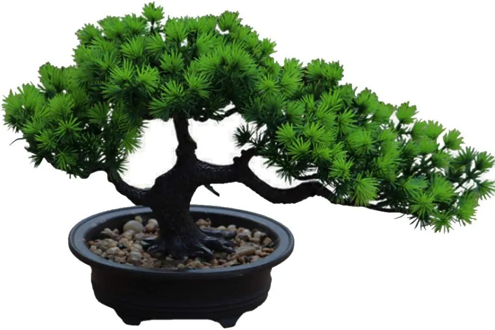Bild von Aisamco Künstlicher Bonsai-Baum mit 19 cm Höhe und 34 cm Breite für die Inneneinrichtung