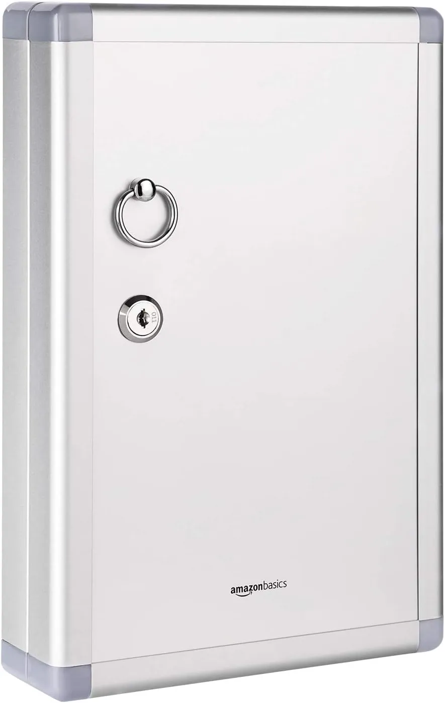 Bild von Amazon Basics Schlüsselkasten für 24 Schlüssel in Silber, abschließbar und rechteckig, Maße 6,1 x 21,6 x 31,8 cm