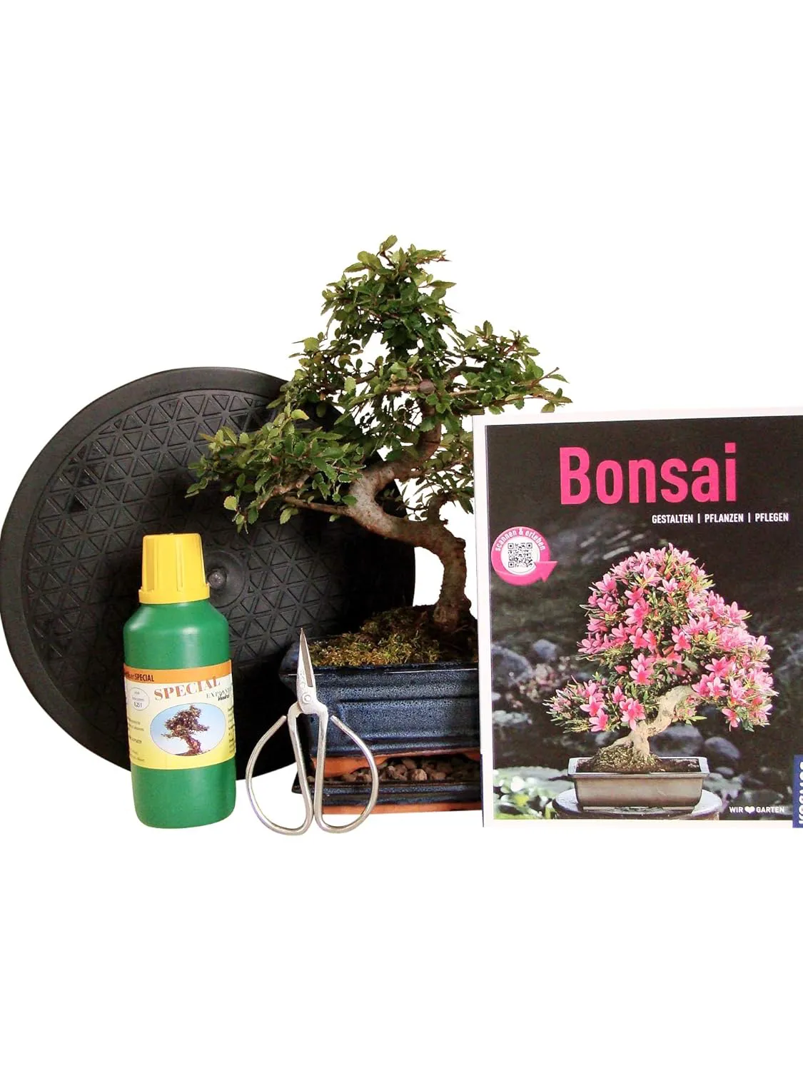 Bild von Anfänger Bonsai-Set mit 6 Teilen inklusive 30 cm Ulmen-Bonsai, Schere, Untersetzer, Arbeitsdrehteller, Düngerflasche und Bonsaibuch