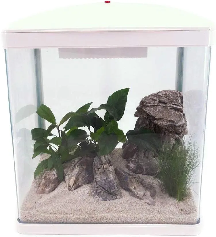 Bild von AquaOne Komplettset für Nanoaquarium mit 14 Litern und LED-Beleuchtung in Weiß, inklusive Pumpe für Fische und Garnelen