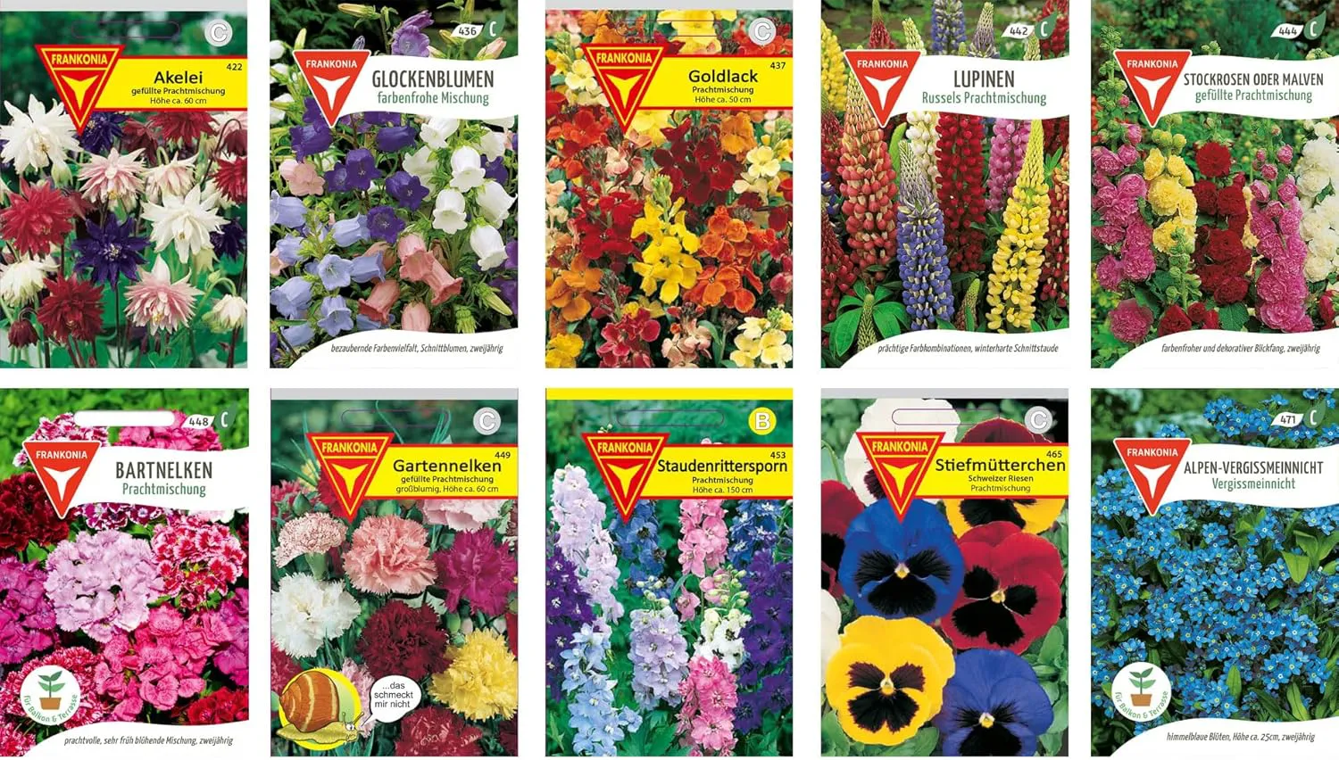 Bild von Blumen Samen Set mit 10 verschiedenen Sommerblumensorten für Garten, Balkon und Hochbeet