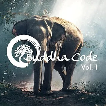 Bild von Buddha Code Vol. 1 Entspannungsmusik in 432 Hz für Meditation und Yoga