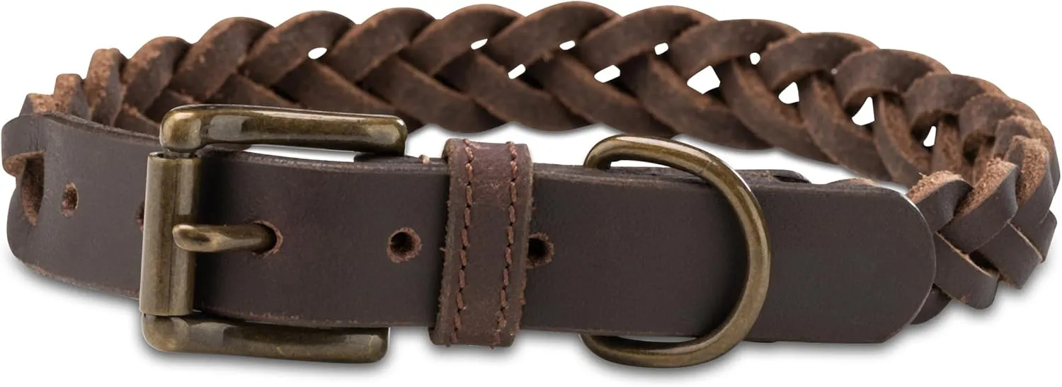 Bild von Clarissa geflochtenes Fettleder Halsband für Hunde in Größe S mit einem Umfang von 31 bis 40 cm