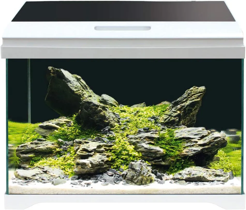 Bild von Croci Amtra MODERN 50 Aquarium mit LED Beleuchtung und Innenfilter, 40 Liter