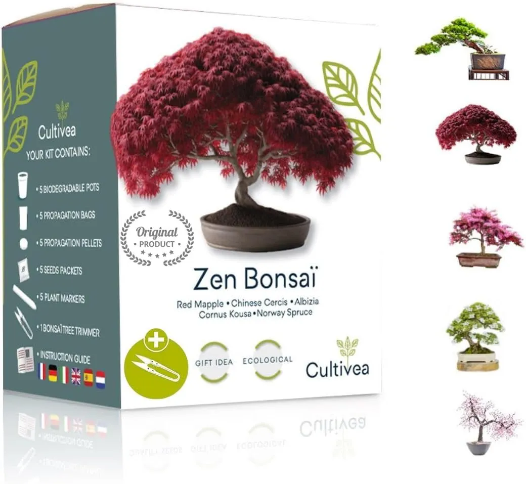 Bild von CULTIVEA Bonsai Starter Kit mit 5 verschiedenen Bonsaï-Samen und Wachstumsanleitung