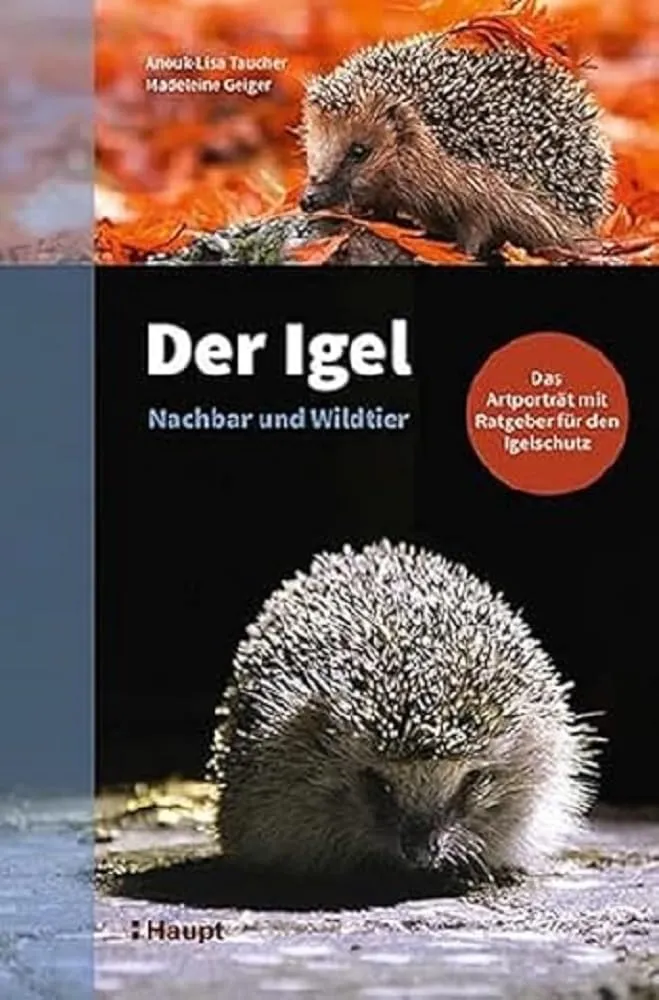 Bild von Der Igel Nachbar und Wildtier Artporträt mit Ratgeber für Igelschutz