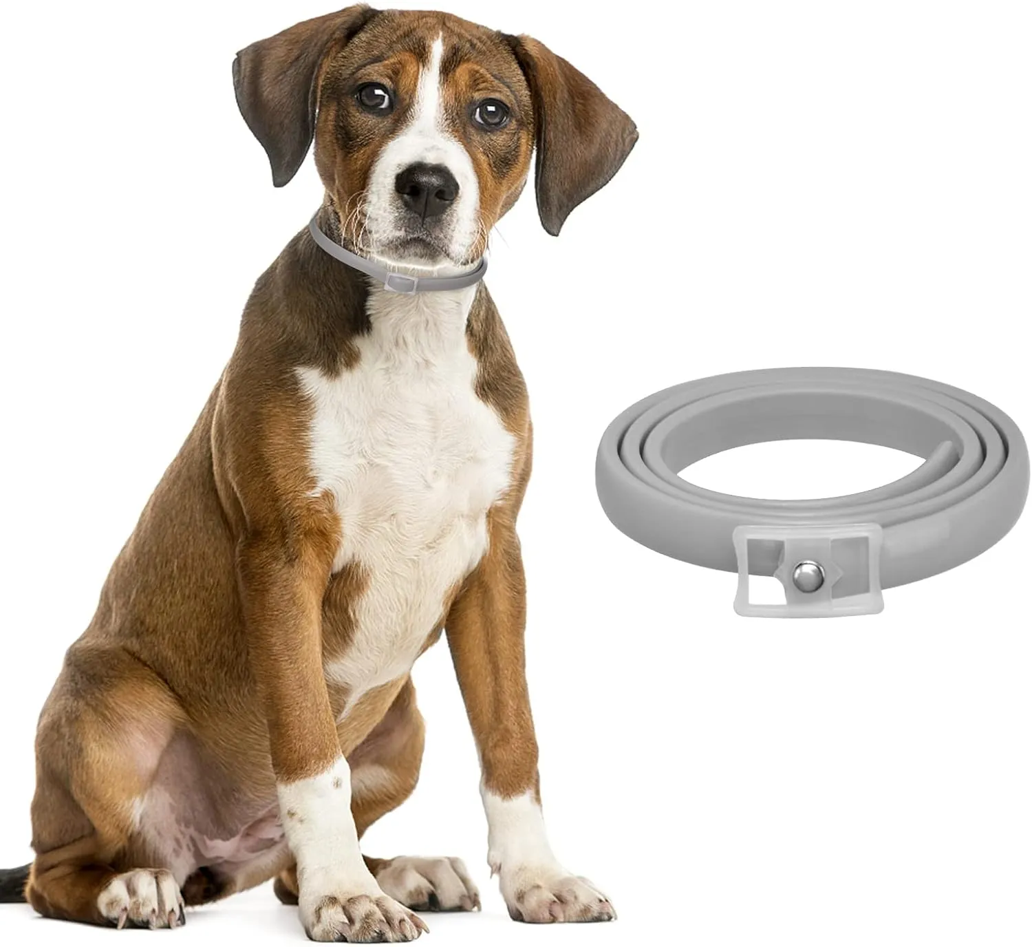 Bild von DEWEL Hundehalsband gegen Ungeziefer, verstellbar bis 63,5 cm, wasserdicht