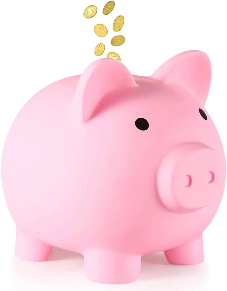 Bild von DUTTY Sparschwein in Rosa, niedliches Accessoire für Familie und Freunde