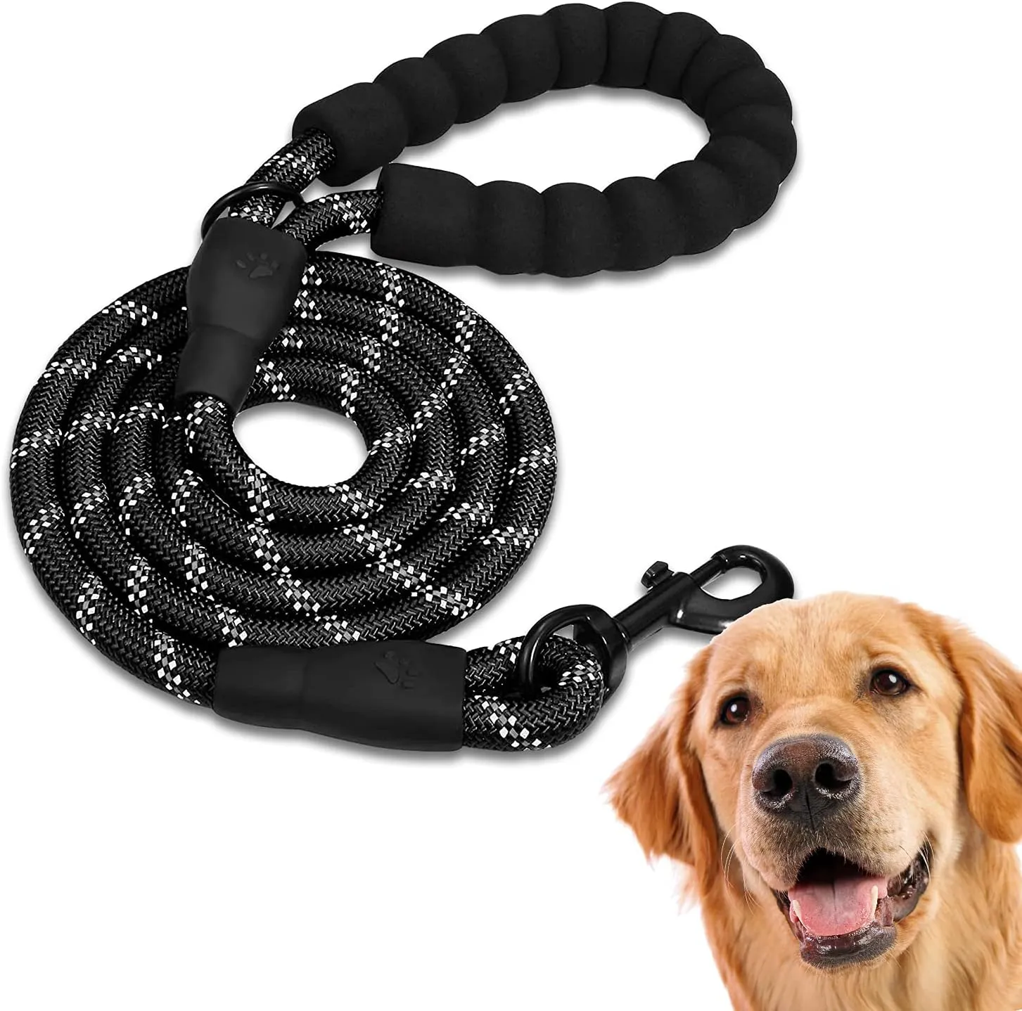 Bild von Edipets Hundeleine in Schwarz mit gepolstertem Griff, erhältlich in 120 cm, 150 cm und 220 cm für Hunde aller Größen