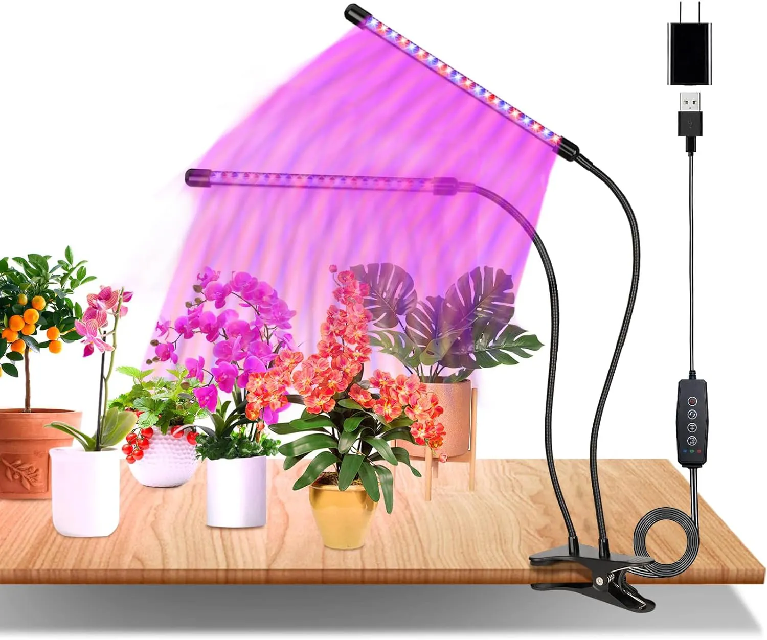 Bild von Eisaro LED Pflanzenlampe mit Vollspektrum, 2 Köpfen, 60 LEDs, Zeitschaltuhr, 360 Grad verstellbar, USB Adapter, 3 Lichtmodi und 10 Helligkeitsstufen