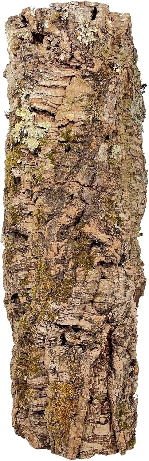 Bild von EKB Korkrinde für Terrarien und Dekoration, Länge 40 bis 70 cm, Durchmesser 20 bis 30 cm