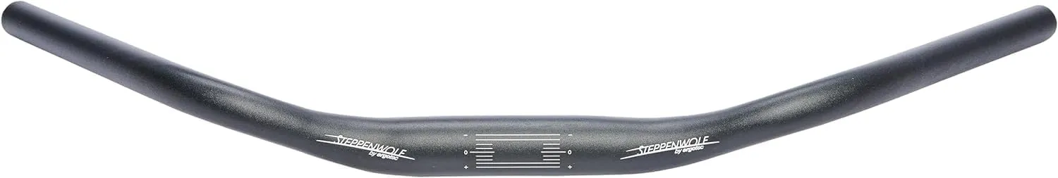Bild von Ergotec Climber Light Trekkinglenker mit 31.8mm Klemmung, 600mm Breite aus Aluminium in Schwarz