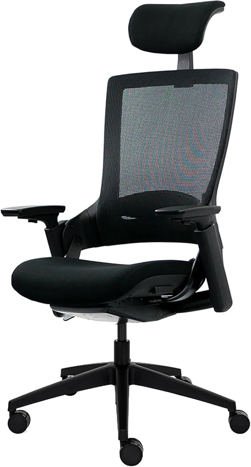 Bild von Ergotopia NextBack ergonomischer Bürostuhl mit integrierter Lordosenstütze und Kopfstütze gegen Nackenschmerzen, 5 Jahre Garantie