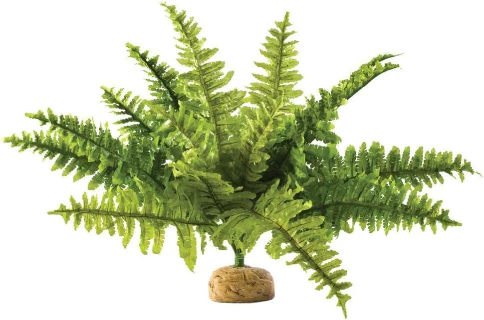 Bild von Exo Terra Boston Farn künstliche Pflanze für Terrarien in mittel Größe