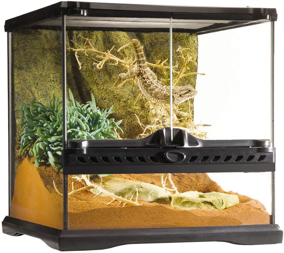 Bild von Exo Terra Glas Terrarium mit einzigartiger Frontbelüftung, 30 x 30 x 30 cm