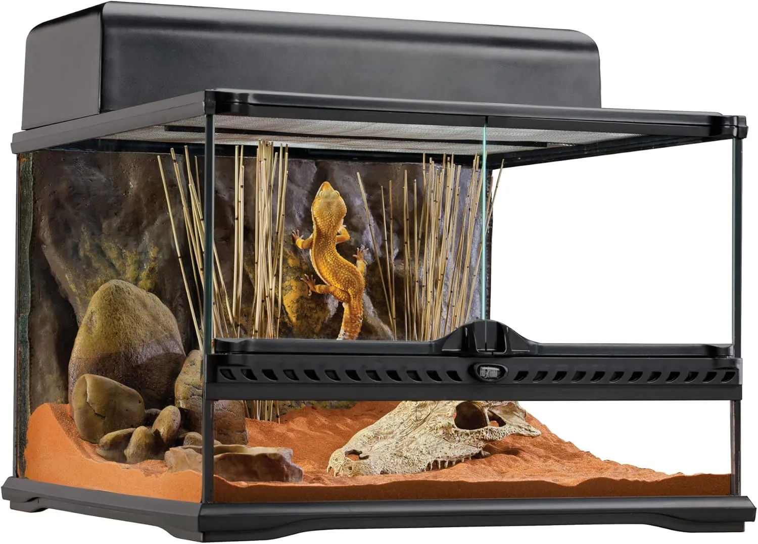 Bild von Exo Terra Glas Terrarium mit Front Belüftung, 45 x 45 x 30 cm