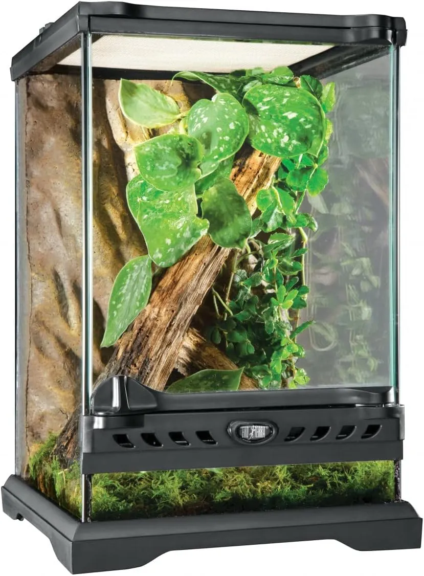 Bild von Exo Terra Glas Terrarium mit Front Belüftung in 20 x 20 x 30 cm