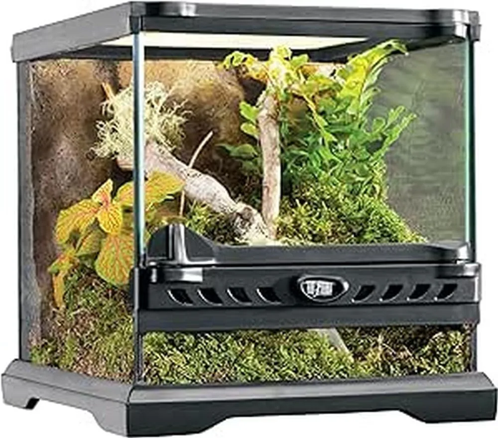 Bild von Exo Terra Reptilien Terrarium aus Glas mit Front Belüftung in der Größe 20 x 20 x 20 cm