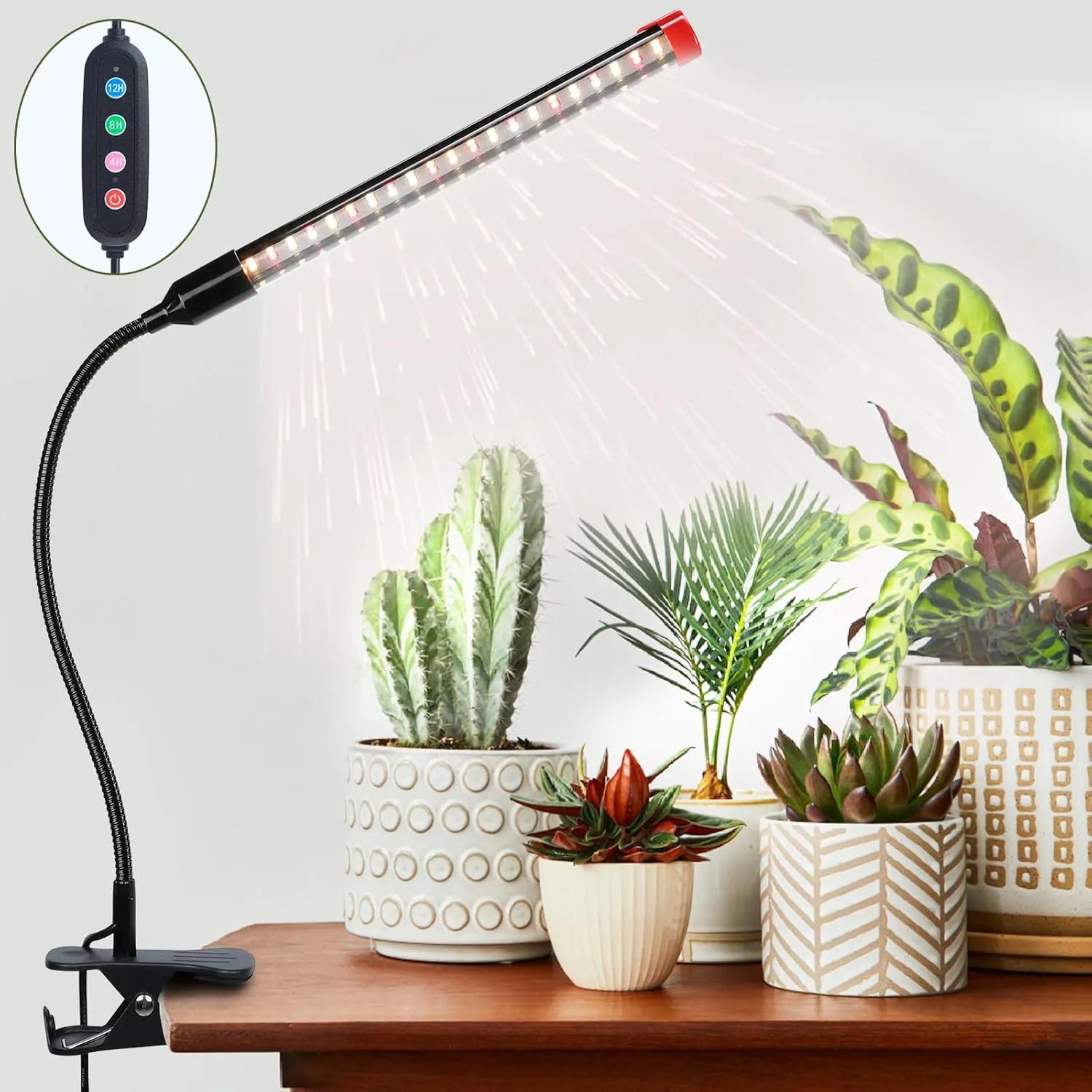 Bild von FECiDA Clip Pflanzenlampe 9 Watt mit 1000 Lumen und Vollspektrum für Zimmerpflanzen, inklusive Timer für 4, 8 und 12 Stunden