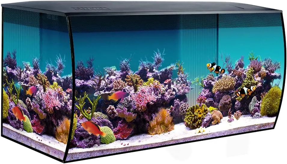 Bild von Fluval Flex Marine Aquarium 123 Liter in Schwarz